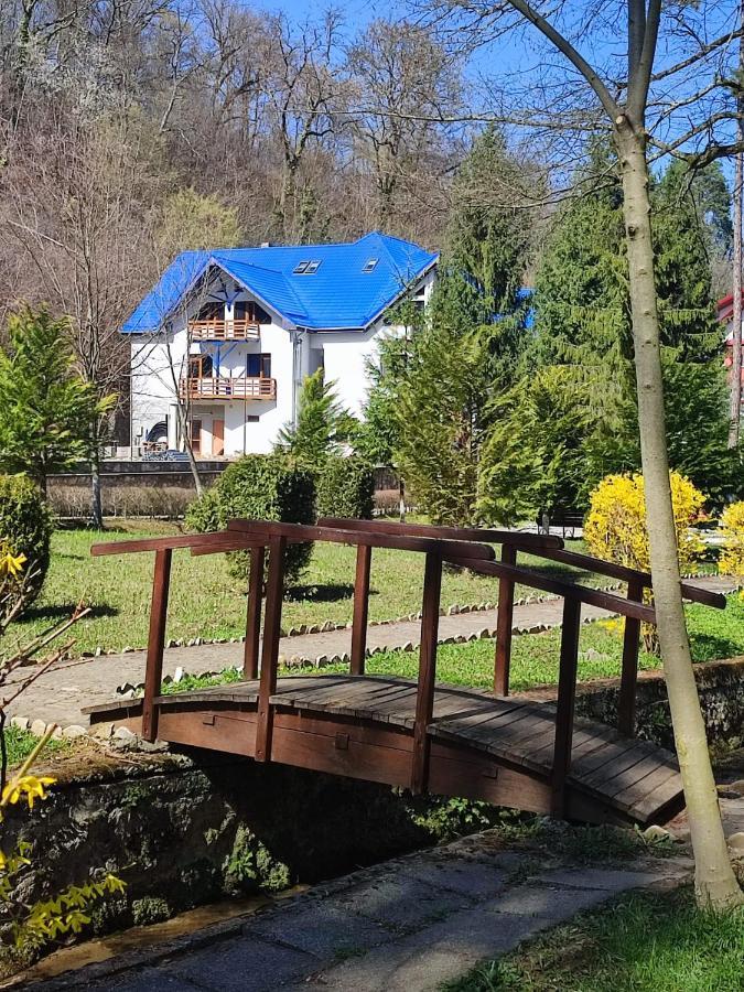 Hotel Parc Geoagiu Băi Esterno foto