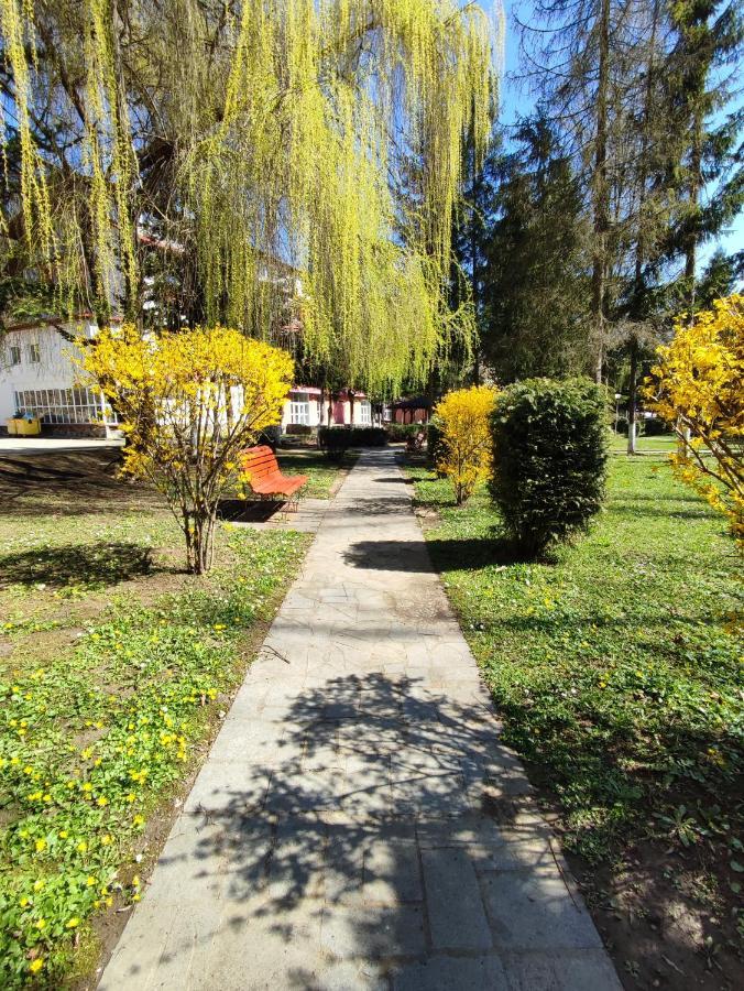 Hotel Parc Geoagiu Băi Esterno foto