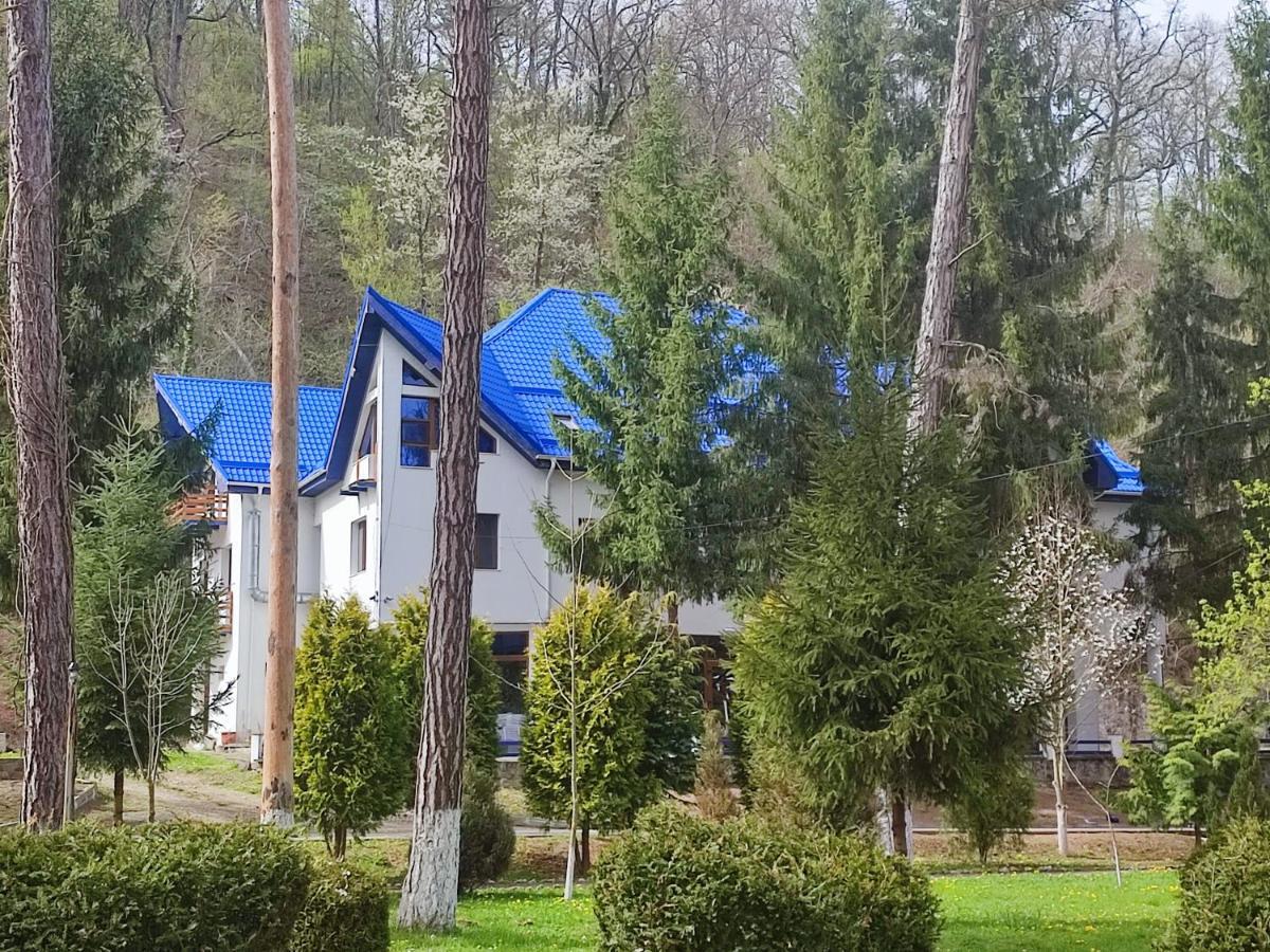 Hotel Parc Geoagiu Băi Esterno foto