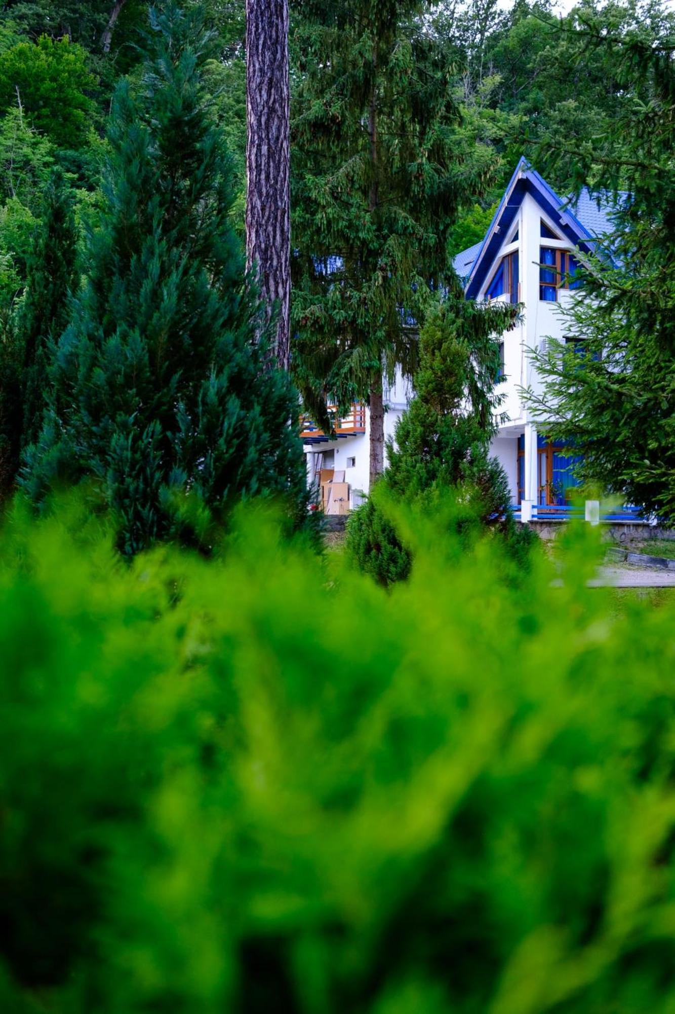 Hotel Parc Geoagiu Băi Esterno foto